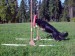 agility149.JPG